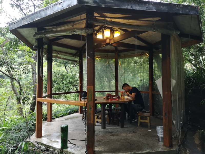 yyteahouse21 文山-貓空邀月茶坊 雨中的清涼 蛙鳴鳥叫的陪伴 一個下午的悠閒