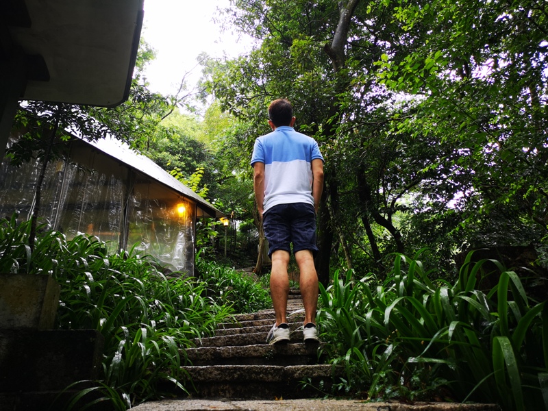 yyteahouse22 文山-貓空邀月茶坊 雨中的清涼 蛙鳴鳥叫的陪伴 一個下午的悠閒