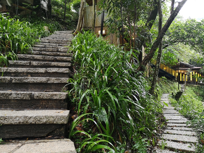 yyteahouse23 文山-貓空邀月茶坊 雨中的清涼 蛙鳴鳥叫的陪伴 一個下午的悠閒