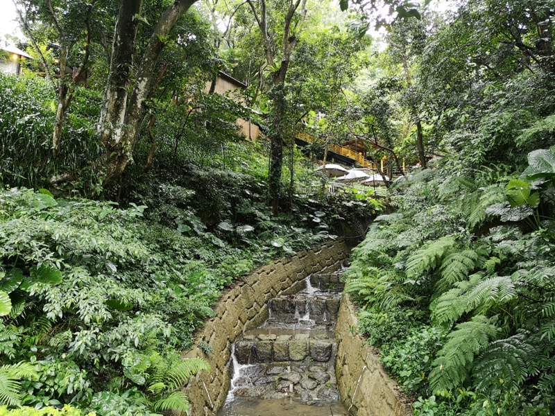 yyteahouse24 文山-貓空邀月茶坊 雨中的清涼 蛙鳴鳥叫的陪伴 一個下午的悠閒