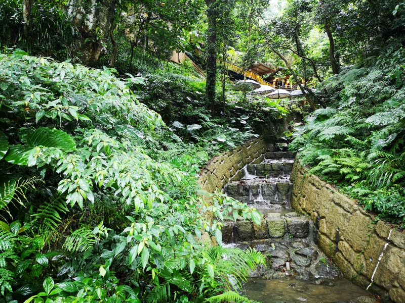 yyteahouse25 文山-貓空邀月茶坊 雨中的清涼 蛙鳴鳥叫的陪伴 一個下午的悠閒
