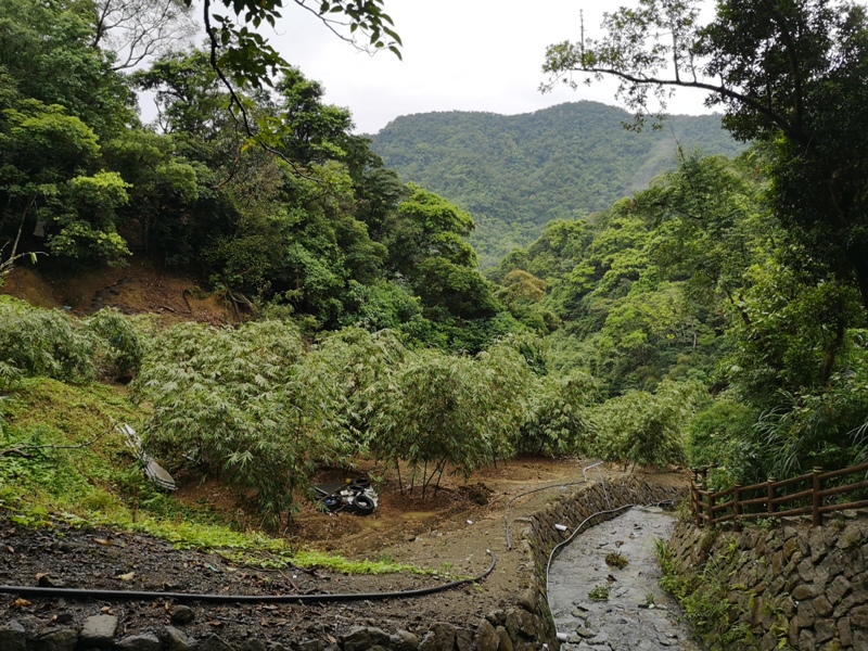 yyteahouse26 文山-貓空邀月茶坊 雨中的清涼 蛙鳴鳥叫的陪伴 一個下午的悠閒