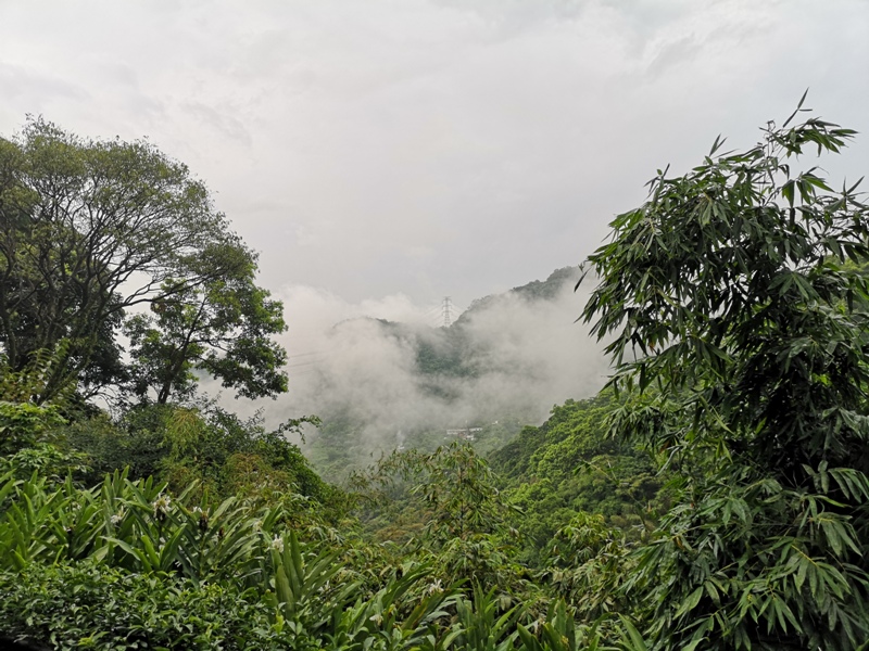 yyteahouse27 文山-貓空邀月茶坊 雨中的清涼 蛙鳴鳥叫的陪伴 一個下午的悠閒
