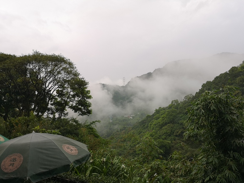 yyteahouse28 文山-貓空邀月茶坊 雨中的清涼 蛙鳴鳥叫的陪伴 一個下午的悠閒