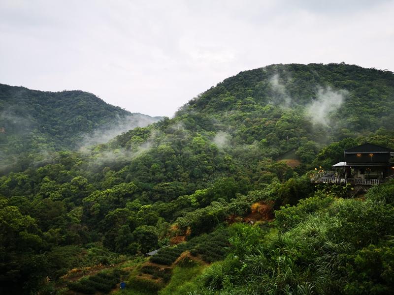yyteahouse32 文山-貓空邀月茶坊 雨中的清涼 蛙鳴鳥叫的陪伴 一個下午的悠閒