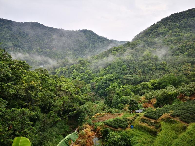 yyteahouse33 文山-貓空邀月茶坊 雨中的清涼 蛙鳴鳥叫的陪伴 一個下午的悠閒
