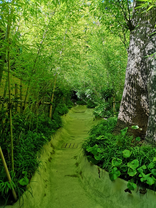 Kinomiya03 Atami-熱海不只有溫泉 兩千年神木坐鎮 有拜有保佑的來宮神社