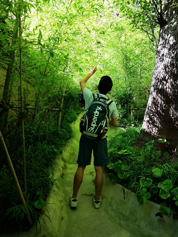 Kinomiya04 Atami-熱海不只有溫泉 兩千年神木坐鎮 有拜有保佑的來宮神社