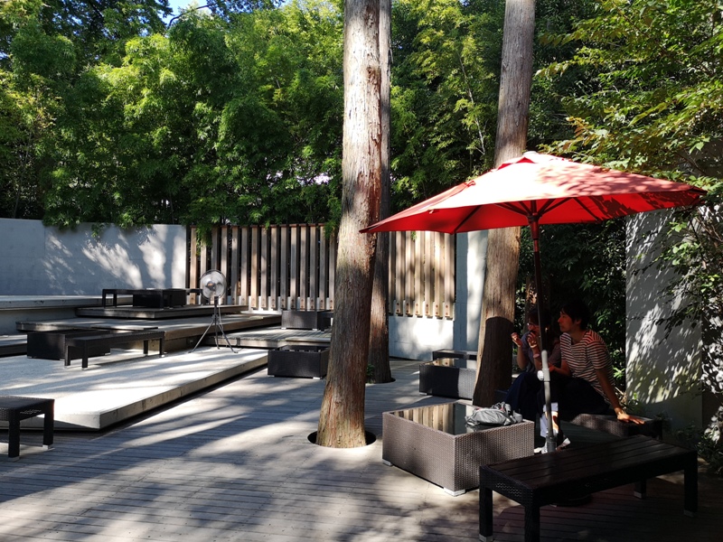 Kinomiya10 Atami-熱海不只有溫泉 兩千年神木坐鎮 有拜有保佑的來宮神社