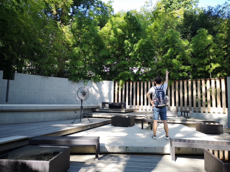 Kinomiya11 Atami-熱海不只有溫泉 兩千年神木坐鎮 有拜有保佑的來宮神社