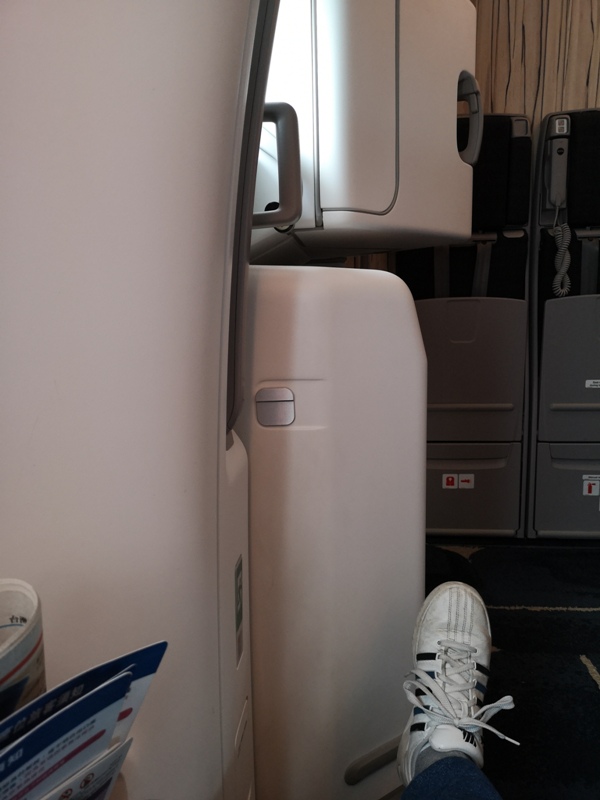 flynarita10 201909桃園成田 小花碳纖維機