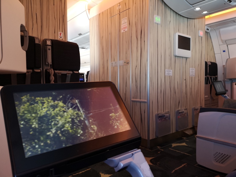 flynarita12 201909桃園成田 小花碳纖維機