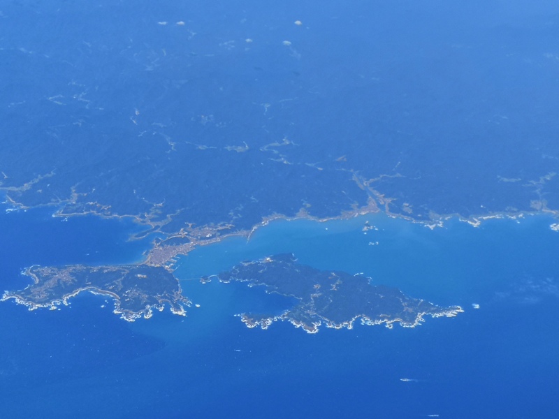 flynarita14 201909桃園成田 小花碳纖維機