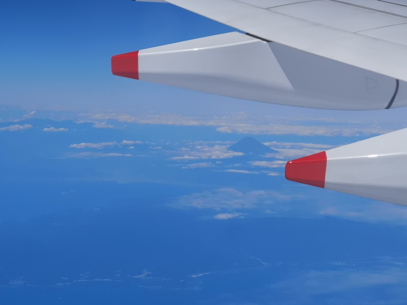 flynarita17 201909桃園成田 小花碳纖維機