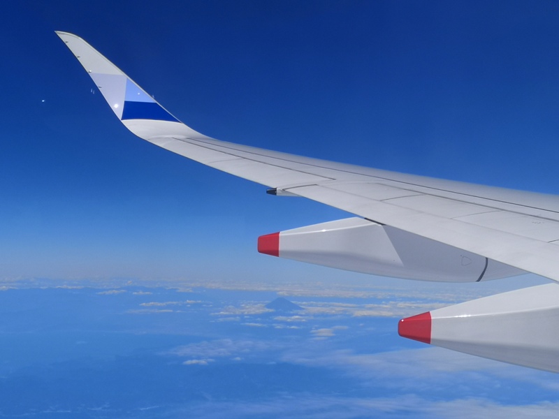 flynarita19 201909桃園成田 小花碳纖維機