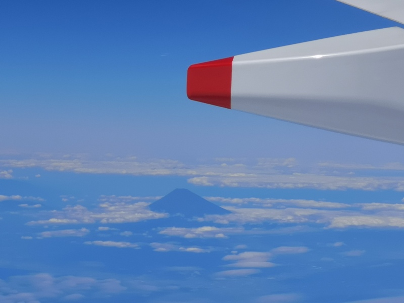 flynarita20 201909桃園成田 小花碳纖維機