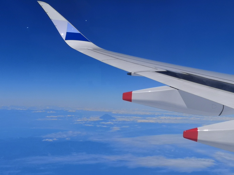 flynarita21 201909桃園成田 小花碳纖維機