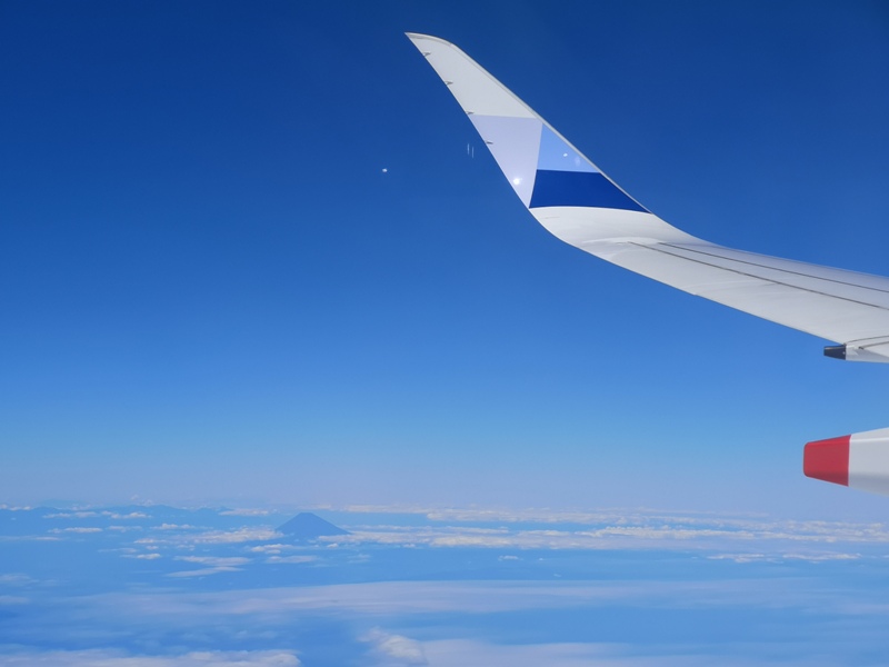 flynarita23 201909桃園成田 小花碳纖維機