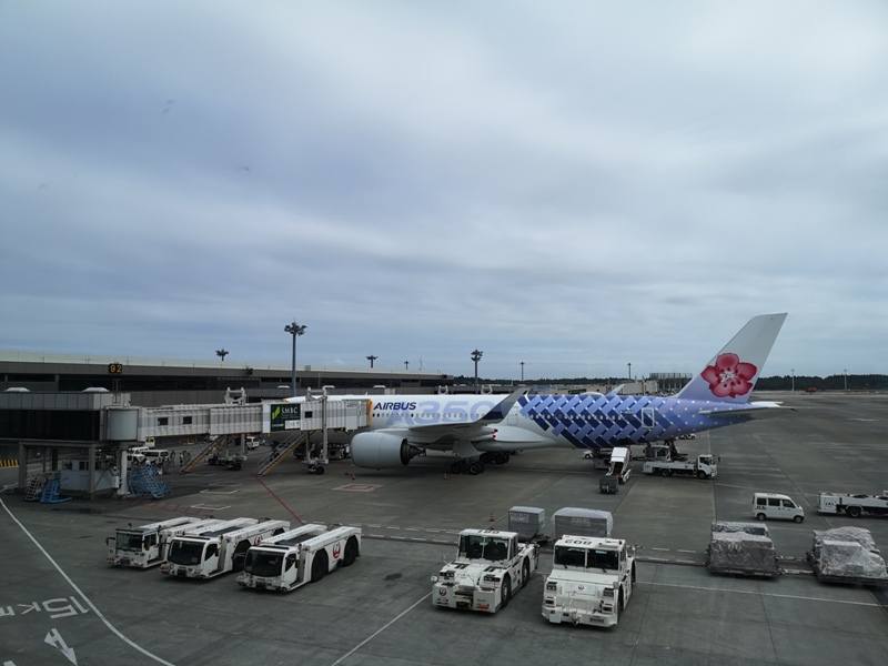 flynarita24 201909桃園成田 小花碳纖維機