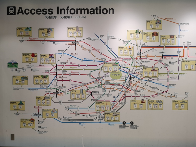 flynarita25 201909桃園成田 小花碳纖維機