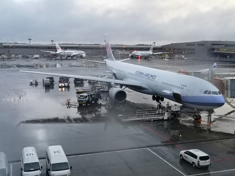 flynarita32 201909桃園成田 小花碳纖維機