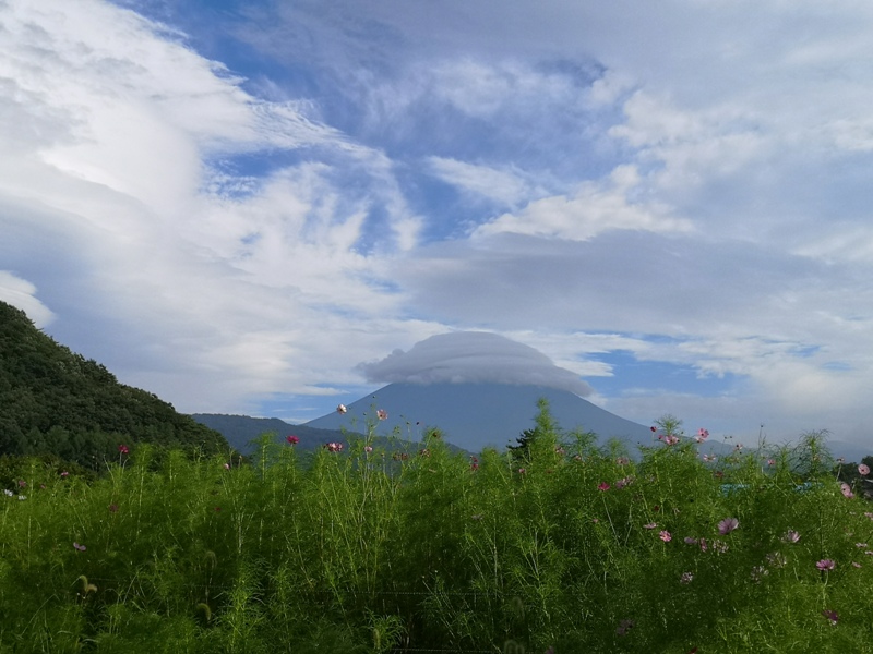 lyashinosatoo02 Seiko-西湖いやしの里根場 富士山下的合掌村