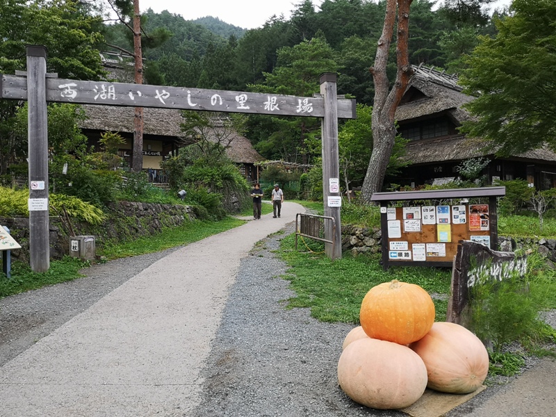 lyashinosatoo03 Seiko-西湖いやしの里根場 富士山下的合掌村