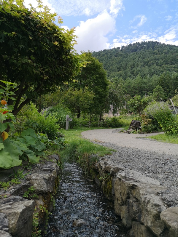 lyashinosatoo11 Seiko-西湖いやしの里根場 富士山下的合掌村