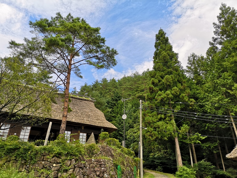 lyashinosatoo15 Seiko-西湖いやしの里根場 富士山下的合掌村