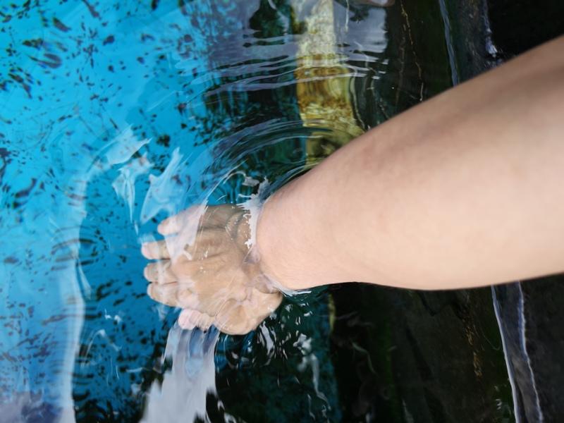 oshinohakkai13 Nakayamako-忍野八海 富士山旁湧泉小村落 看水玩水賞富士