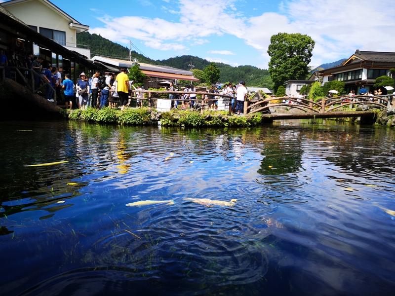 oshinohakkai17 Nakayamako-忍野八海 富士山旁湧泉小村落 看水玩水賞富士