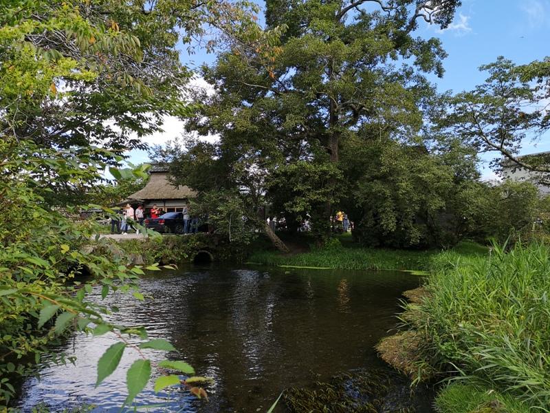 oshinohakkai22 Nakayamako-忍野八海 富士山旁湧泉小村落 看水玩水賞富士