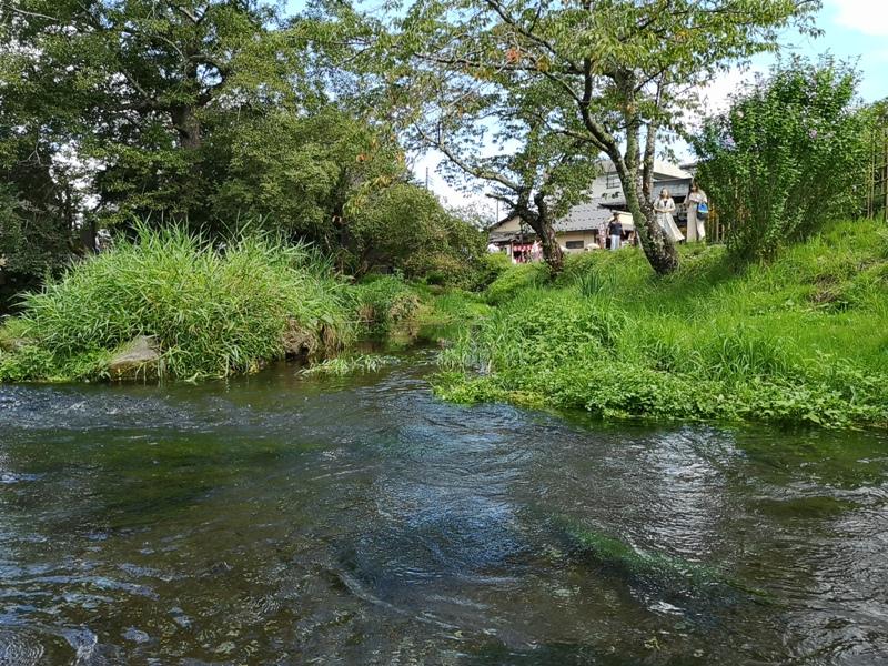 oshinohakkai23 Nakayamako-忍野八海 富士山旁湧泉小村落 看水玩水賞富士