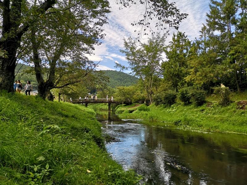 oshinohakkai26 Nakayamako-忍野八海 富士山旁湧泉小村落 看水玩水賞富士