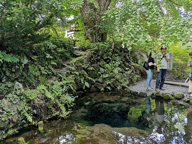 oshinohakkai27 Nakayamako-忍野八海 富士山旁湧泉小村落 看水玩水賞富士