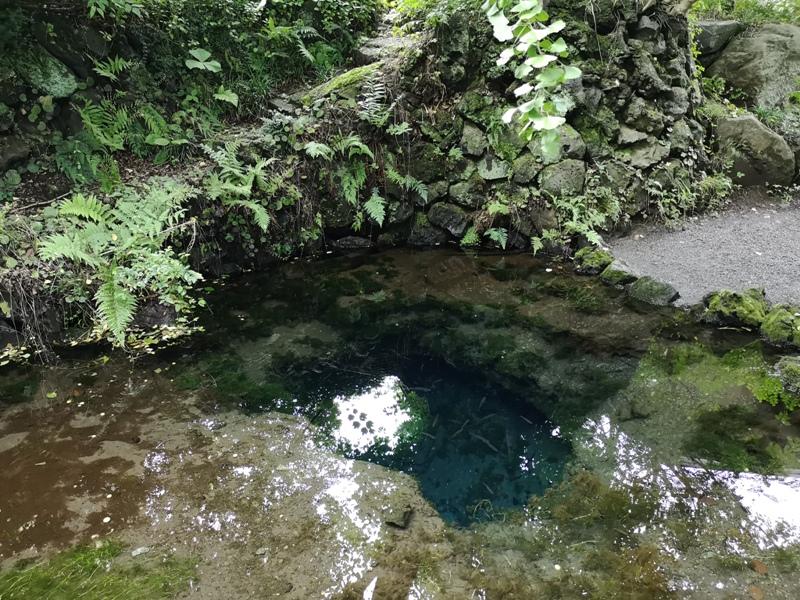 oshinohakkai29 Nakayamako-忍野八海 富士山旁湧泉小村落 看水玩水賞富士