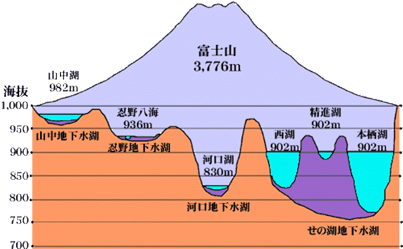 oshinohakkai31 Nakayamako-忍野八海 富士山旁湧泉小村落 看水玩水賞富士