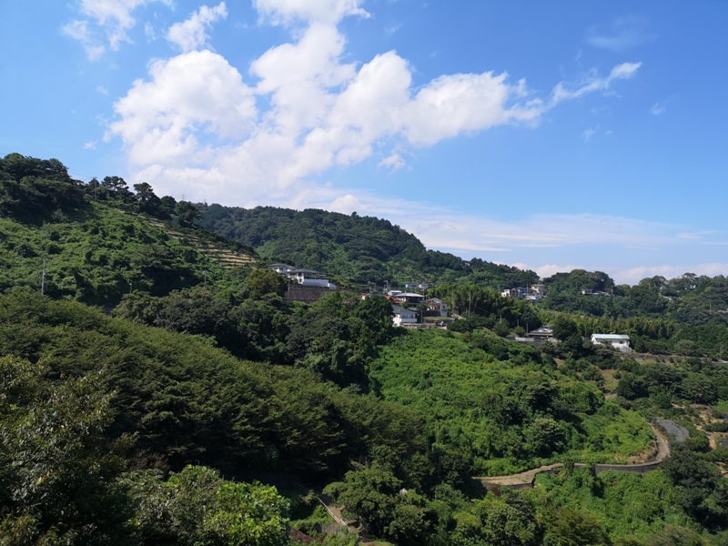 paradisecafe23 Odawara-Paradise Cafe Saddle Back藍天綠樹海景紅瓦屋 江之浦的景觀咖啡