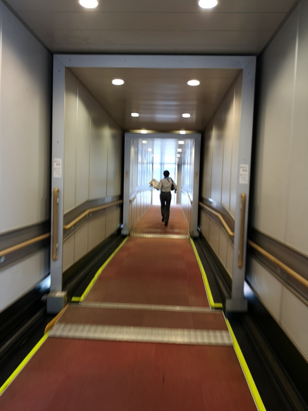 flyvie19 201909台北維也納 ANA787-9夢幻客機商務艙初體驗