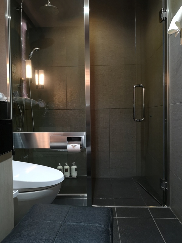 flyvie27 201909台北維也納 ANA787-9夢幻客機商務艙初體驗