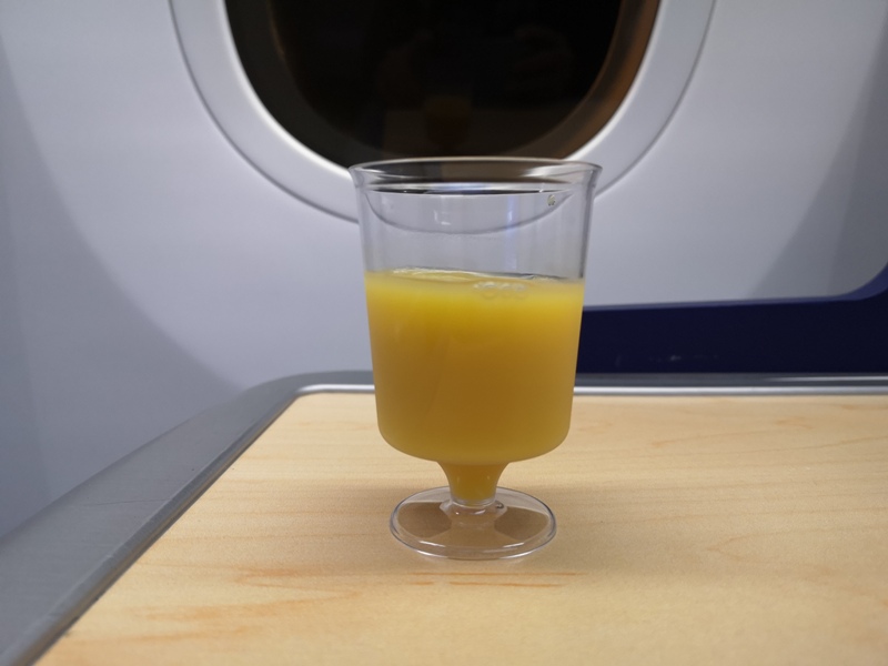 flyvie36 201909台北維也納 ANA787-9夢幻客機商務艙初體驗