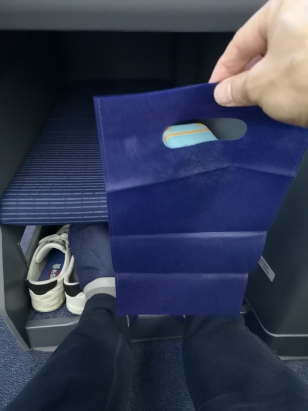 flyvie38 201909台北維也納 ANA787-9夢幻客機商務艙初體驗