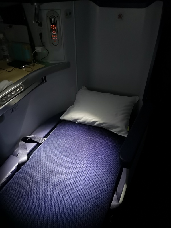 flyvie45 201909台北維也納 ANA787-9夢幻客機商務艙初體驗