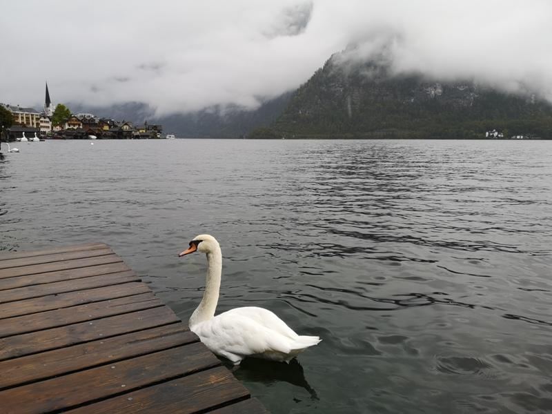 hallstatt0114 Hallstatt-世界最美小鎮 哈斯塔特 陰雨天的朦朧美感
