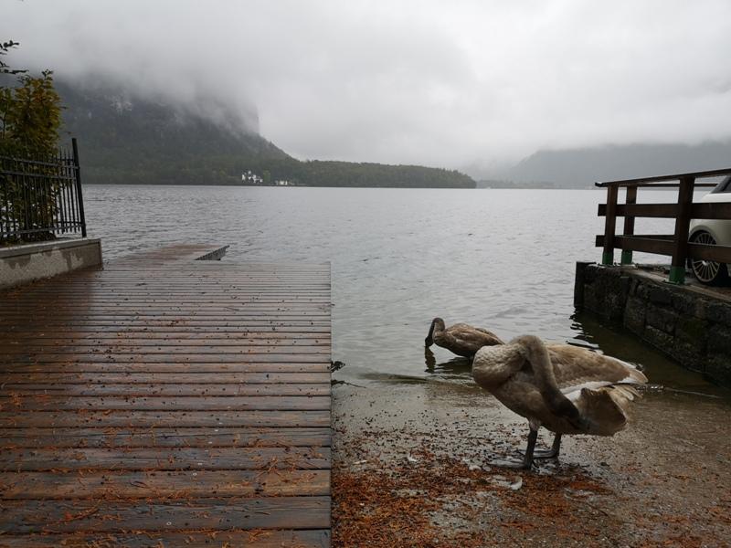 hallstatt0118 Hallstatt-世界最美小鎮 哈斯塔特 陰雨天的朦朧美感
