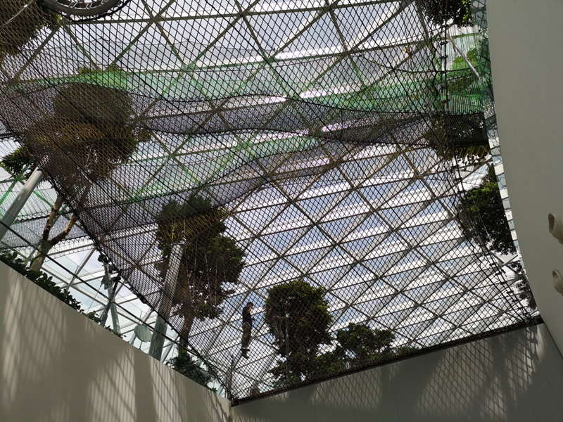 jewelchangiiii05 Singapore-Jewel Changi星耀樟宜 城市中的森林谷 綠意中人工瀑布雨漩渦超吸精 新加坡樟宜機場必訪