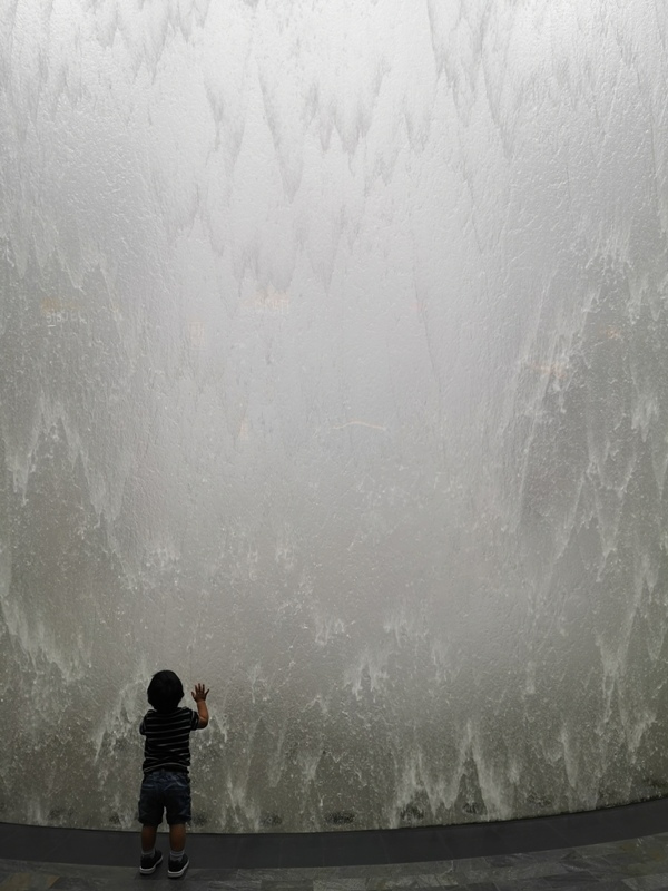 jewelchangiiii16 Singapore-Jewel Changi星耀樟宜 城市中的森林谷 綠意中人工瀑布雨漩渦超吸精 新加坡樟宜機場必訪