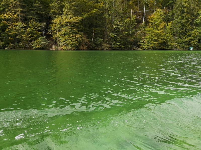 konigssee024 Konigssee-國王湖 好山好水好美麗...人間仙境不誇張