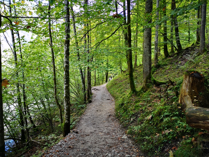 konigssee062 Konigssee-國王湖 好山好水好美麗...人間仙境不誇張