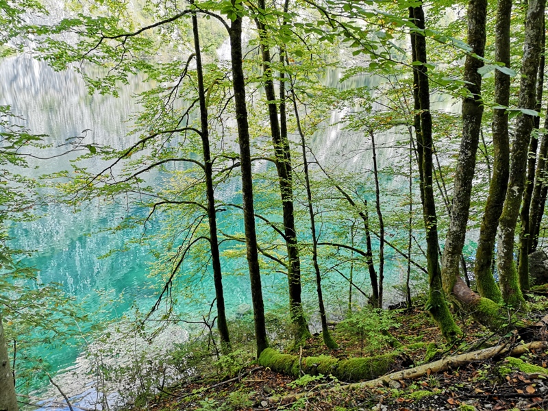 konigssee063 Konigssee-國王湖 好山好水好美麗...人間仙境不誇張
